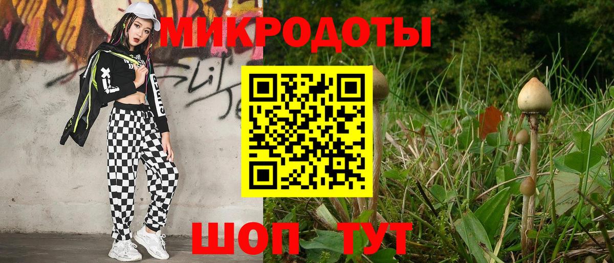 Псилоцибиновые грибы Cubensis Алушта