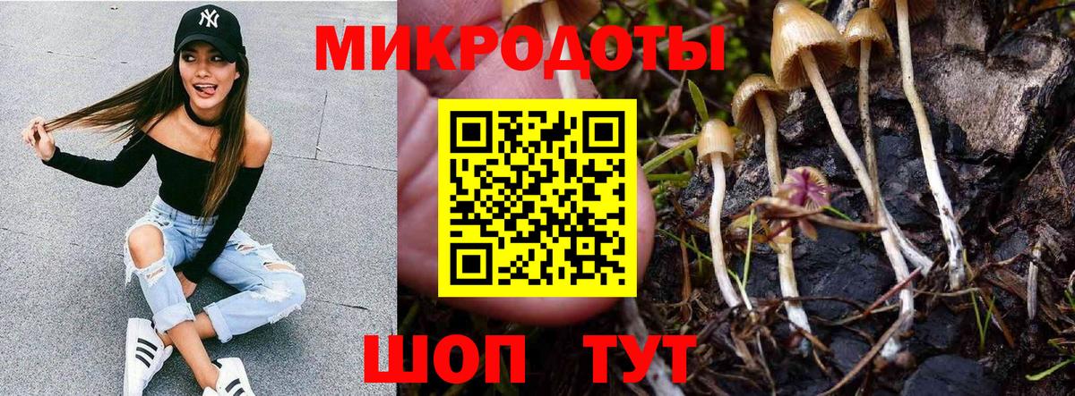Галлюциногенные грибы Psilocybine cubensis  Вход с VPN  Галлюциногенные грибы мухоморы  Алушта 